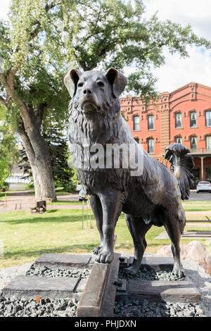 Sie, die treue Hund, Statue, Fort Benton, MT, USA Stockfoto