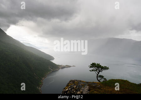 Misty Morning auf Tingvollfjorden flord Stockfoto