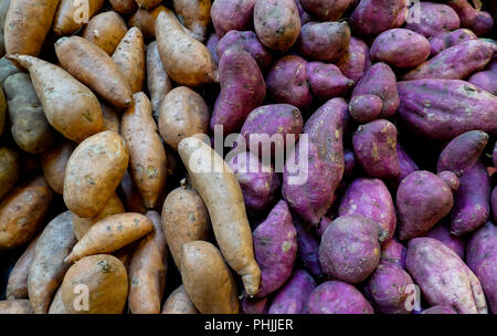 Weiße Kartoffeln und Süßkartoffeln auf Verkauf zu einem Farmers Market Stockfoto