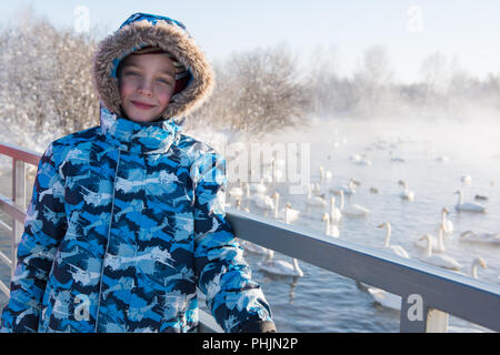 Schöne weiße Keuchhusten Schwäne Stockfoto