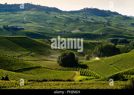 Blick auf die Weinberge der Langhe Piemont Berge bei Sonnenuntergang Stockfoto