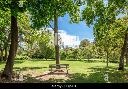 Parkbank in einem Park Stockfoto