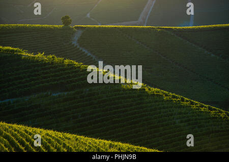 Blick auf die Weinberge der Langhe Piemont Berge bei Sonnenuntergang Stockfoto