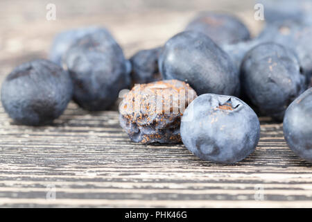Verdorben und Schlamm - mit Schimmel und Pilze, Blaubeeren Beeren bedeckt, Nahaufnahme auf dem Tisch Stockfoto