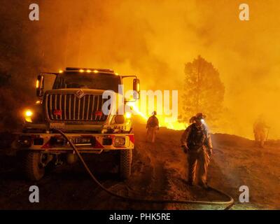 Backcountry Feuerwehrmänner kämpfen die Donnell Brand in Stanislaus National Forest August 28, 2018 in der Nähe von blutigen Rock, Kalifornien. Die wildfire brannte 36.335 Hektar zerstört 54 großen Strukturen in Nord Kalifornien. Stockfoto