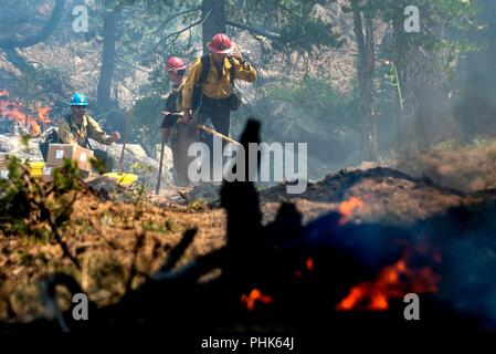 Backcountry Feuerwehrmänner kämpfen die Donnell Brand in Stanislaus National Forest August 12, 2018 in der Nähe von Sonora, Kalifornien. Die wildfire brannte 36.335 Hektar zerstört 54 großen Strukturen in Nord Kalifornien. Stockfoto