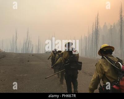 Backcountry Feuerwehrmänner kämpfen die Donnell Brand in Stanislaus National Forest August 18, 2018 in der Nähe von Sonora, Kalifornien. Die wildfire brannte 36.335 Hektar zerstört 54 großen Strukturen in Nord Kalifornien. Stockfoto