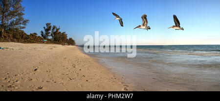 White Sand Beach von Delnor-Wiggins Pass State Park Stockfoto