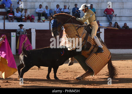 Almazán, Spanien. 01 Sep, 2018. Ein Pferd von der 'Picador' ist, geworfen von einem 'Perera Ranch, kämpfende Bullen bei einem Stierkampf. Credit: Jorge Sanz/Pacific Press/Alamy leben Nachrichten Stockfoto