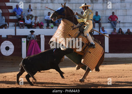 Almazán, Spanien. 01 Sep, 2018. Ein Pferd von der 'Picador' ist, geworfen von einem 'Perera Ranch, kämpfende Bullen bei einem Stierkampf. Credit: Jorge Sanz/Pacific Press/Alamy leben Nachrichten Stockfoto