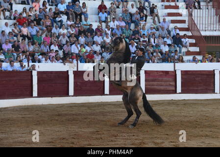 Almazán, Spanien. 01 Sep, 2018. Diego Ventura, ein Stierkämpfer zu Pferd bei einem Stierkampf. Credit: Jorge Sanz/Pacific Press/Alamy leben Nachrichten Stockfoto