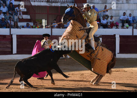 Almazán, Spanien. 01 Sep, 2018. Ein Pferd von der 'Picador' ist, geworfen von einem 'Perera Ranch, kämpfende Bullen bei einem Stierkampf. Credit: Jorge Sanz/Pacific Press/Alamy leben Nachrichten Stockfoto