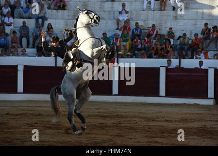 Almazán, Spanien. 01 Sep, 2018. Diego Ventura, ein Stierkämpfer zu Pferd, während ein Stierkampf. Credit: Jorge Sanz/Pacific Press/Alamy leben Nachrichten Stockfoto