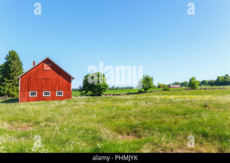 Blütezeit Sommer Wiese in einer ländlichen Landschaft mit einer Scheune Stockfoto