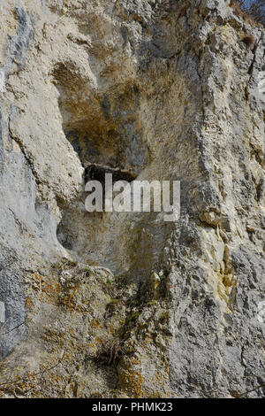 Wanderfalke Nest; Schwäbischen Alb; Stockfoto