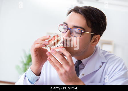 Lustig Zahnarzt mit Zähne Modell im Krankenhaus Stockfoto