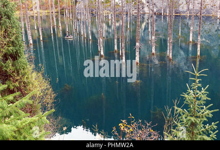 Versunkene Wald in Lake Kaindy, Kasachstan. Stockfoto