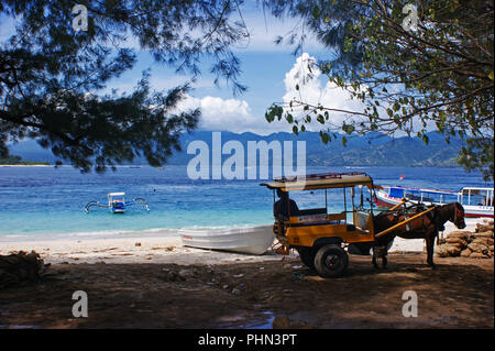 Cidomo, Insel Gili Trawangan, Lombok, Nusa Tenggara, Indonesien Stockfoto