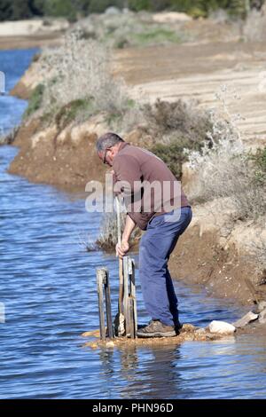 Portugal, Park Ria Formosa, Algarve, Lagune, Landschaft Stockfoto