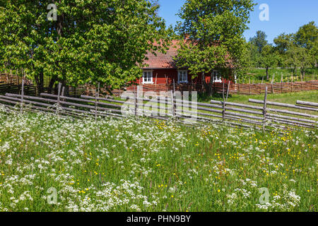 Blühende Sommerwiese in einem ländlichen alte Landschaft Stockfoto