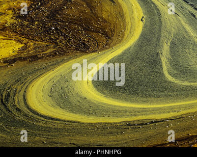 Pollen im Moorsee, Schwenninger Moos Stockfoto