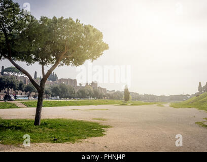 Die Überreste der berühmten Circus Maximus in Rom Stockfoto