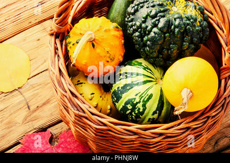 Schönen Herbst saisonal Hintergrund mit Kürbisse in Korb. Herbst Natur Konzept Stockfoto