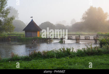 Früh morgens Nebel auf dem Fluss Test Longstock Stockfoto