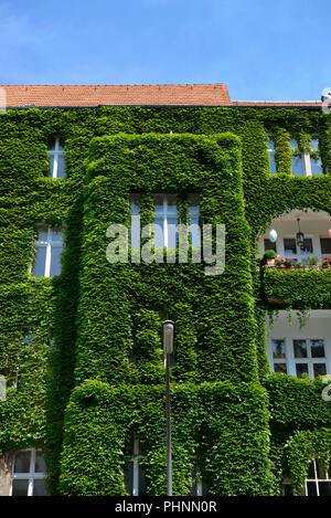 Fassadenbegruenung, Regensburger Straße, Schöneberg, Berlin, Deutschland Stockfoto