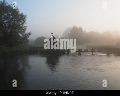 Früh Morgens Nebel auf Longstock Hampshire Stockfoto