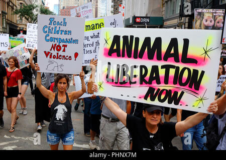 New York, NY, USA. 1. September 2018. Tierschützer halten Schilder an den offiziellen Tierrechte März NYC. Stockfoto