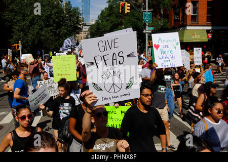 New York, NY, USA. 1. September 2018. Ein Demonstrator mit einem witzigen Schild "Erbsen eine Chance geben". Stockfoto