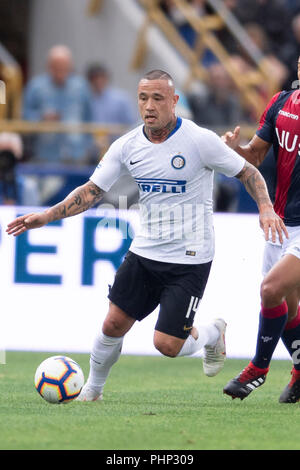 Bologna, Italien. 01 Sep, 2018. Matteo Politano (Inter) während Erie der Italienischen eine "Übereinstimmung zwischen Bologna 0-3 Inter zu Renato Alle Ara Stadion am 01 September, 2018 in Bologna, Italien. (Foto von Maurizio Borsari/LBA) Quelle: Lba Co.Ltd./Alamy leben Nachrichten Stockfoto