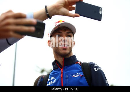 Monza, Italien. 2. September 2018. Pierre Gasly von Frankreich und Scuderia Toro Rosso mit den Fans während der Formel Eins Grand Prix von Italien: Marco Canoniero/Alamy leben Nachrichten Stockfoto