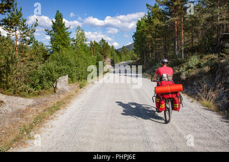 Reisen Radfahrer reitet ein Radweg entlang der malerischen Schotterweg durch Fichtenwald im südlichen Norwegen Stockfoto