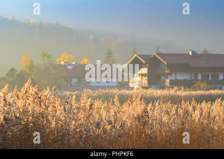 Herbst morgen heiteren Landschaft mit Nebel über dem See Rohrkolben im ländlichen Bereich der pastoralen Oberbayern Stockfoto