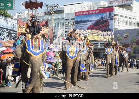 THAILAND ISAN SURIN ELEPHANT FESTIVAL RUNDEN Stockfoto