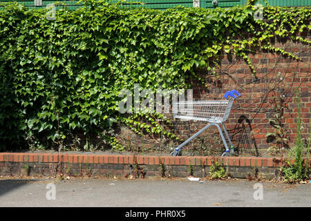 Verlassene Einkaufswagen Stockfoto