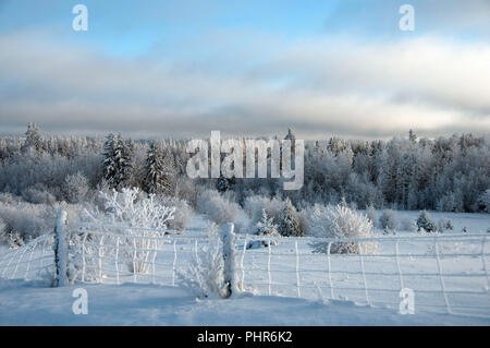 Winter Landschaft Landschaft zeigt frosty Zaun, frostigen Bäumen, Schnee, bleu Himmel, Wolken mit einem Gefühl des Friedens und der Ruhe. Landschaft im Winter Saison. Stockfoto