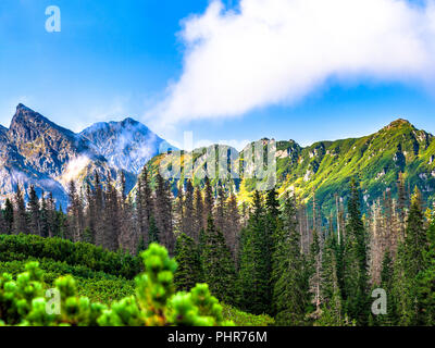 Polnische Tatra Sommer Landschaft mit blauem Himmel und weißen Wolken. Stockfoto