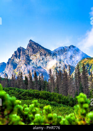 Polnische Tatra Sommer Landschaft mit blauem Himmel und weißen Wolken. Stockfoto