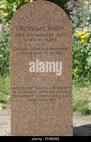 Greyfriars Bobby Grab stein Stockfoto