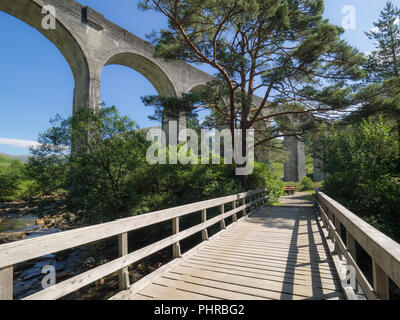 Genfinnan Viadukt von unten aus einem kleinen hölzernen Brücke aus gesehen Stockfoto