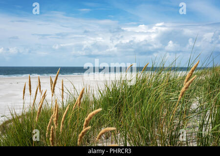 Blick auf den wunderschönen Strand von der nordfriesischen Insel Amrum, Deutschland Stockfoto