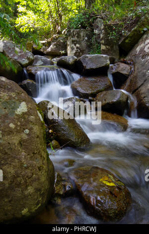 Kleiner Bach im Regenwald. Es macht den kleinen, aber sehr schönen Wasserfall Stockfoto