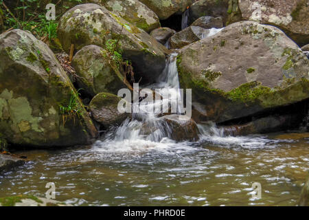 Kleiner Bach im Regenwald. Es macht den kleinen, aber sehr schönen Wasserfall Stockfoto