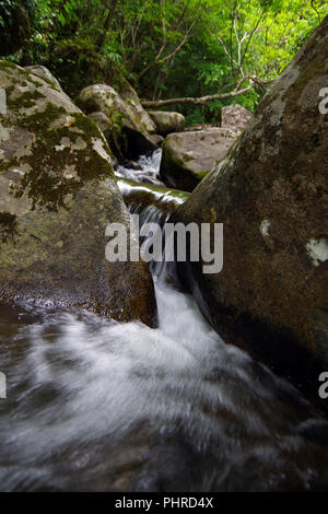 Kleiner Bach im Regenwald. Es macht den kleinen, aber sehr schönen Wasserfall Stockfoto