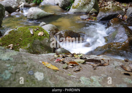 Kleiner Bach im Regenwald. Es macht den kleinen, aber sehr schönen Wasserfall Stockfoto