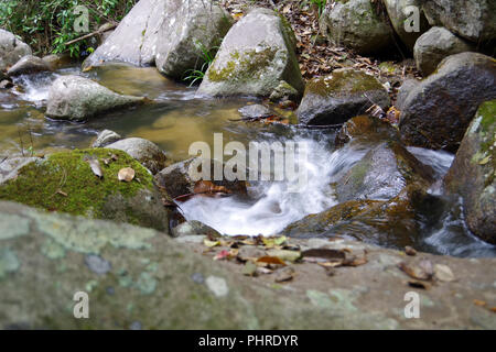 Kleiner Bach im Regenwald. Es macht den kleinen, aber sehr schönen Wasserfall Stockfoto