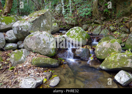 Kleiner Bach im Regenwald. Es macht den kleinen, aber sehr schönen Wasserfall Stockfoto